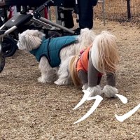 遊ぶ気配ゼロ
