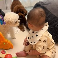 間に入るぽてとちゃん