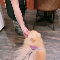 撫でてくれました♪