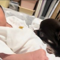 お腹にあご乗せ