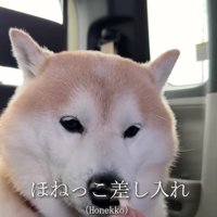 「骨っ子いらない…」