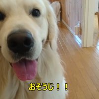 わざと無視しているようです