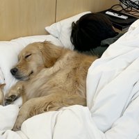 いつでも