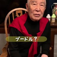 「世界最古の…プードル？」