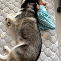 赤ちゃんに寄り添うレイルちゃん