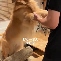 パパさんに甘えるモッシュくん3