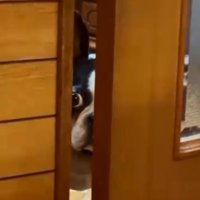 隙間から覗くマルタくん4