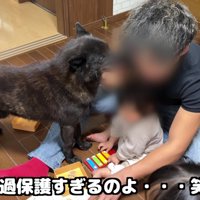 過保護すぎる姿にホッコリ
