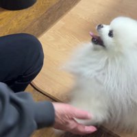 嬉しくて仕方ない♡