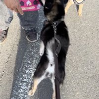 またすぐに会えるといいね
