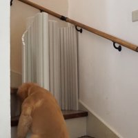 脇によけて…
