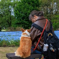 飼い主