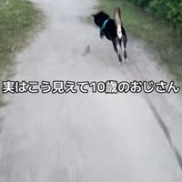 お散歩中にダッシュするくろまめ君2