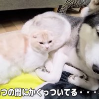 と思いきや、すぐに仲直り♪