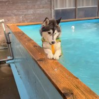 「水ないとこないの…？」