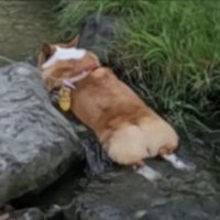 最高の