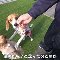 押しのけています（笑）
