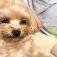 ぼんやりしたあとは…