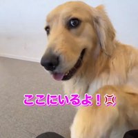 パンチするちあちゃん