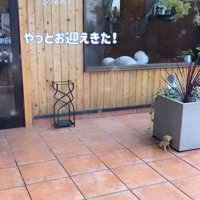 ショーンくんのお迎え2