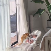 朝のルーティーン