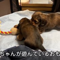 おもちゃを取られていじけるジャンボくん2