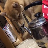 遊んでいたのは…