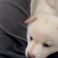 あまりに愛おしいひととき