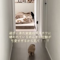 よちよち…