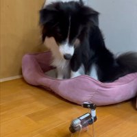 ドン引き
