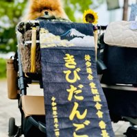凛々しい