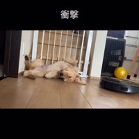 右側から入ってくるルンバ