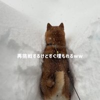 諦めずに挑戦！