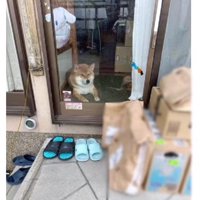 荷物以上に目立ってる！！