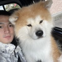 人の隣に座る犬