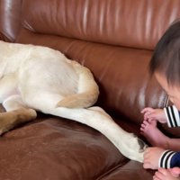 「子供はこんなもの…」