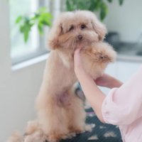 カメラ目線でカット