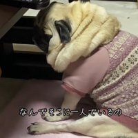 まるで子どもみたい！！