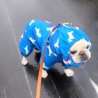 「とりあえず進もう」