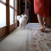 ママさんについて行ったかと思いきや…