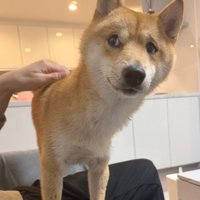 「え…この天気で…？」