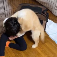 かがんでしまう男の子