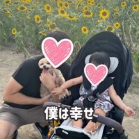 赤ちゃんの上に乗る犬