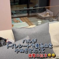 仲睦まじい姿2匹