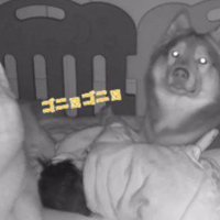 赤ちゃんが起きると…