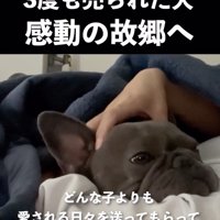 一緒にまったり