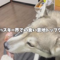 栄養いっぱい摂ろうね