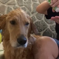 薬用シャンプーを使ってケアします