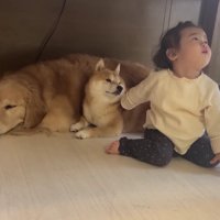 「うにくんかわいいよ」