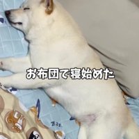 「やっぱりここが一番」